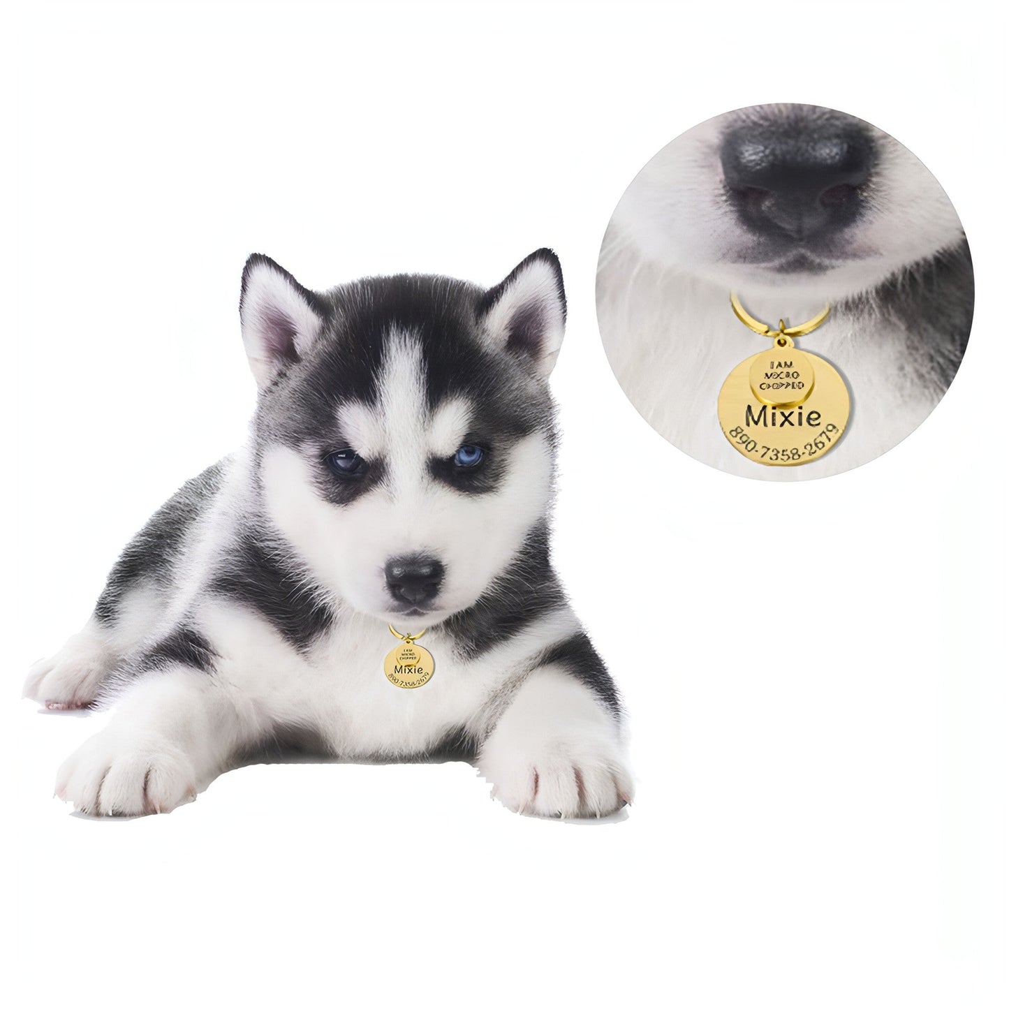 Personalized Pet ID Tag â€?Safe & Stylish for Dogs & Cats