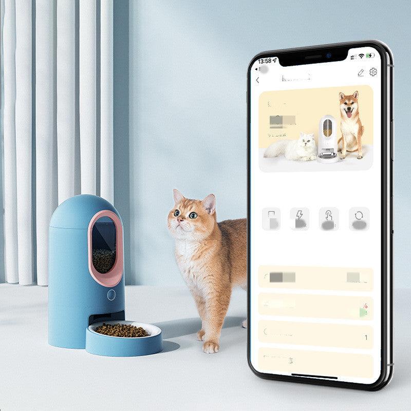 Intellifeed: Smart Stainless Steel Cat Feeder With App Control